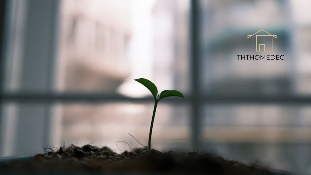 Exploring www.betterthisworld.com A Hub for Personal Growth and Inspiration