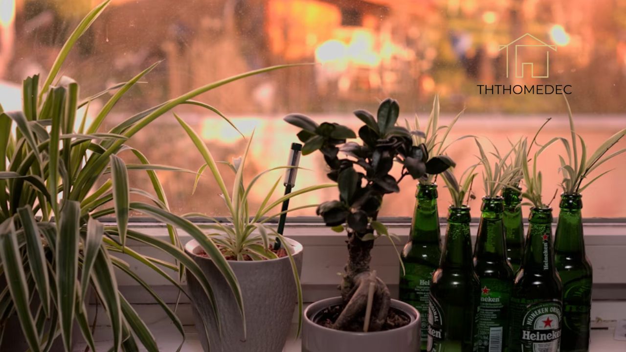 UndergrowthGameLine Our Hosted Event