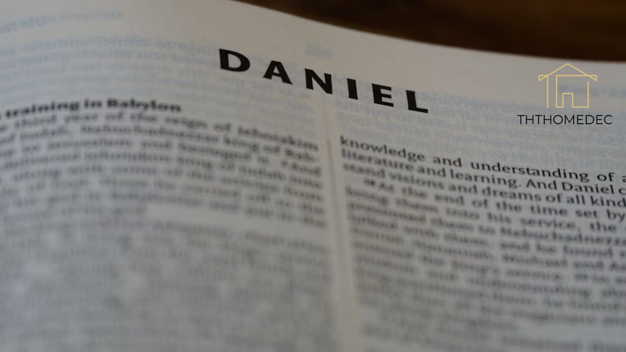 Damlpips Everything You Need to Know