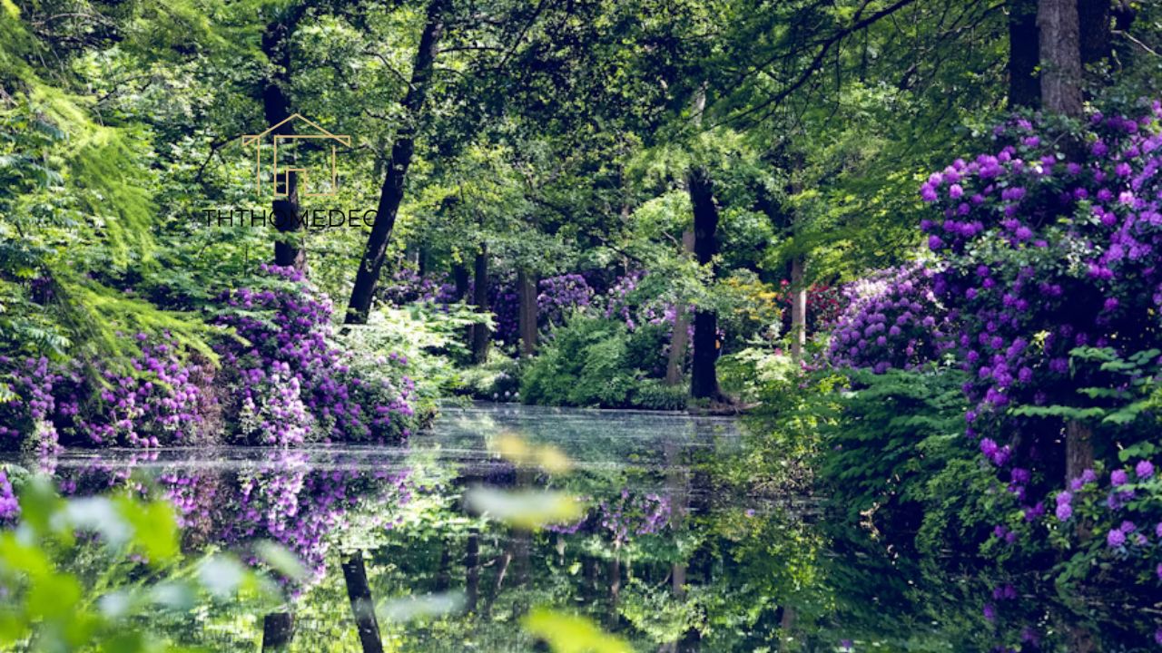 Tips for Transforming Your Decoradyard into a Stunning Oasis