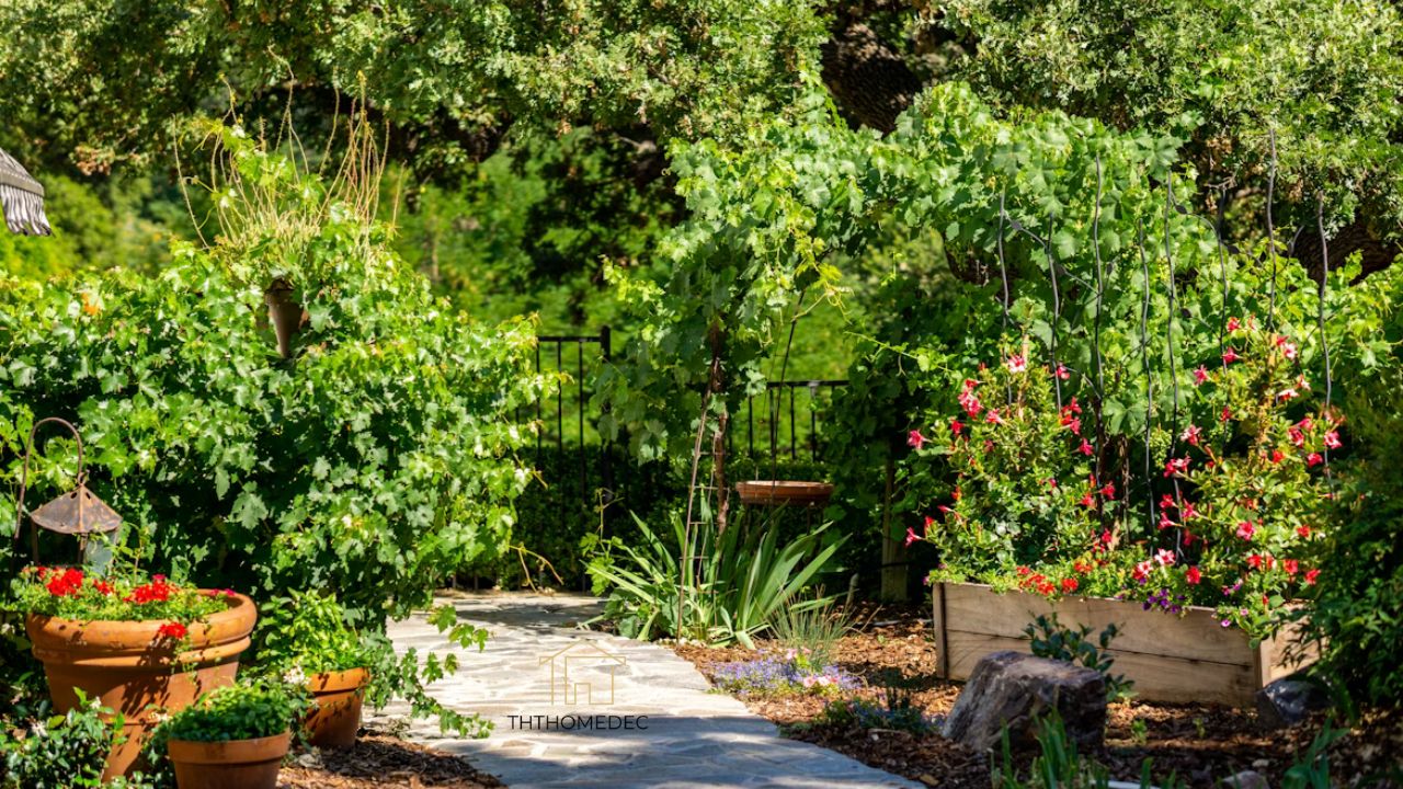 Garden Advice Homenumental Your Ultimate Guide to a Thriving Garden